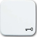 Busch-Jaeger Bilanciere con chiave a simboli 2520 TR-214...