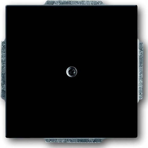 Busch-Jaeger Disque central anth Blindabd,avec anneau de support 1742-81 NEUF