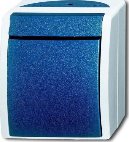 Interruptor transversal Busch-Jaeger AP 2601/7 W-53 NUEVO