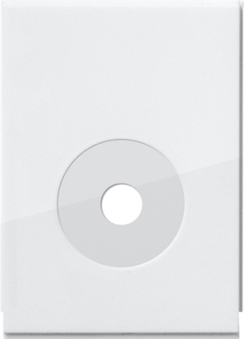 Gira Verschluss Ltg.einf. 1fach System 55 Rweiß 106503 NEU