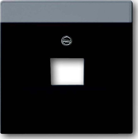 Busch-Jaeger Placa central anth f.UAE conexión do.1f 1803-81 NUEVO