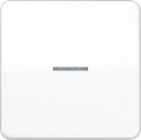 Jung rocker light guide aws for push-button CD 590 KO5 WW...