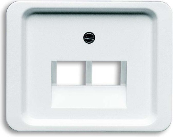 Busch-Jaeger Central plate stws gl f.UAE-connectiondo.2f 1803-02-24G NOWOSC