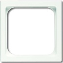 Busch-Jaeger Plyta centralna stws f.TAE insert...