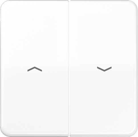 Jung rocker symbols aws for push-button CD 595 P WW NEW