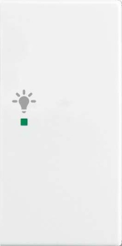 Busch-Jaeger Wippe aws Busch-balance SI 6231-22-914 NEU