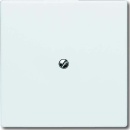 Busch-Jaeger Blindzentralscheibe aws mit Tragring 2138-34...