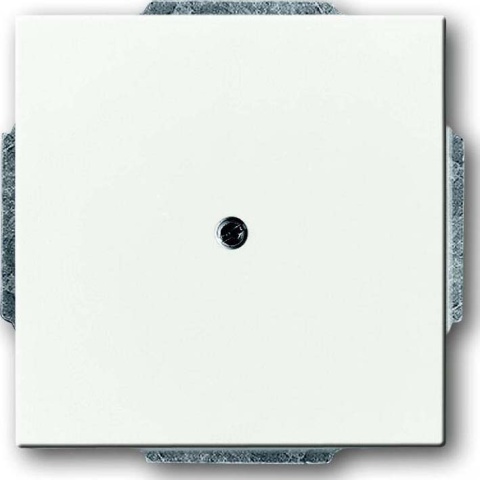 Busch-Jaeger Abdeckung stws mt m.Tragr.f.Ltgsauslaß 1749-884 NEU