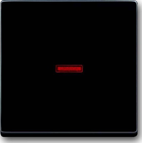 Busch-Jaeger Control anth off,switch,cross,key. 1789-81 NUEVO