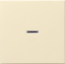 Gira rocker cws-gl with control window 029001 NEW