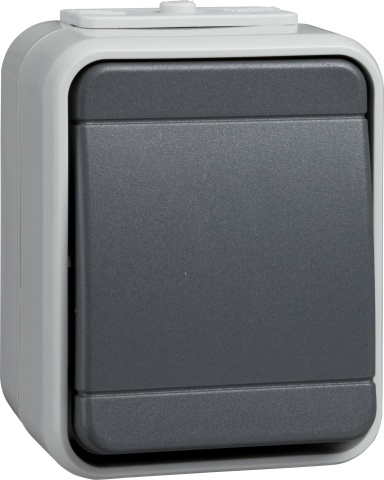 Elso Taster lg/dg AP44 442109 NEU