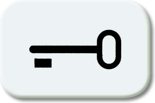 Busch-Jaeger Tastersymbol aws Schlüssel 2525 TR-214 NEU