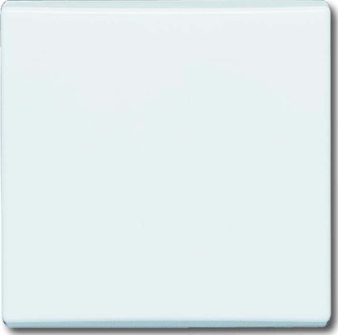 Busch-Jaeger Rocker cws off,change,cross 2106-32 NUEVO