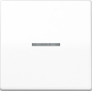 Jung Bascule fibre optique aws pour...