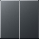 Jung rocker 2-fold anthracite matt A 595 BF ANM NEW