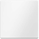 Berker Taste 1fach polarweiß samt 85141129 NEU