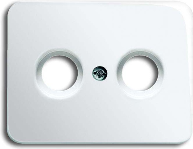 Busch-Jaeger Zentralscheibe sws f.Antennendose 2Loch 1743-24G NEU