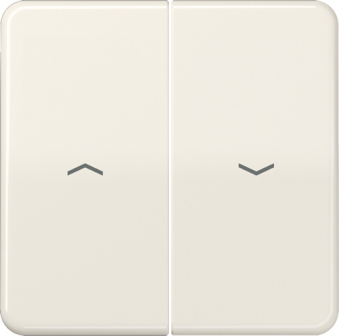 Jung rocker symbols ws for push-button CD 595 P NEW