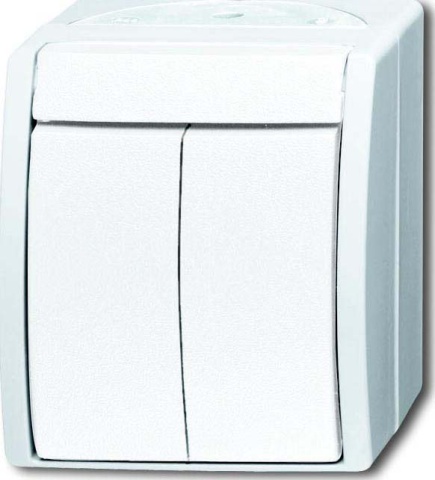 Busch-Jaeger Serienschalter 2601/5 W-54 NEU