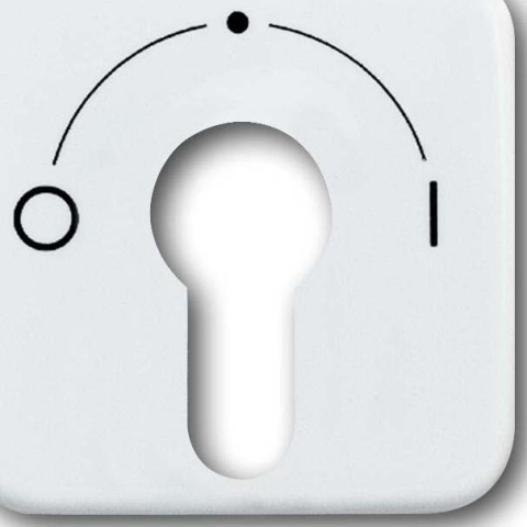 Busch-Jaeger placa central aws f.key switch 2557 SLPZ-214-101 NUEVO