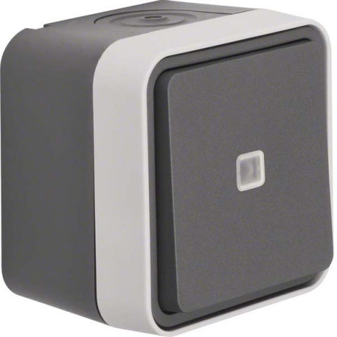 Berker changeover switch illuminated light grey 30763525 NEW