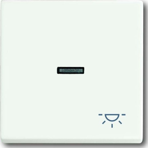 Busch-Jaeger Wippe stws mt mit Symbol Licht 1789 LI-884 NEU