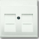 Busch-Jaeger Central plate stws mt...