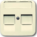 Busch-Jaeger Central plate ws Mod.Jack,2Ö,Beschri. 1800-212 NEW