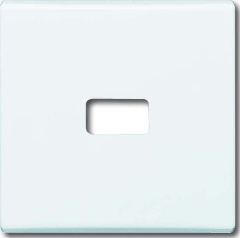 Busch-Jaeger Rocker aws open voor symbool 2120-34 NIEUW