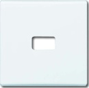 Busch-Jaeger Wippe aws offen für Symbol 2120-34 NEU