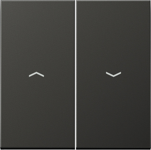 Jung rocker symbols anth for push-button AL 2995 P AN NEW