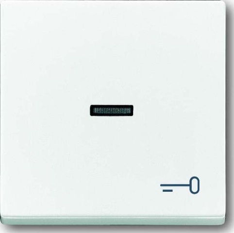 Busch-Jaeger Rocker dav/sws with symbol key 1789 TR-84 NEW