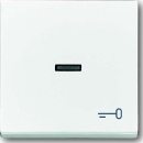 Busch-Jaeger Rocker dav/sws with symbol key 1789 TR-84 NEW