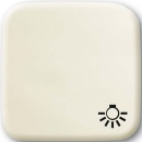 Busch-Jaeger Rocker ws with symbol light 2520 LI-212 NEW