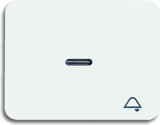 Busch-Jaeger Wippe sws mit Symbol Klingel 1789 KI-24G NEU