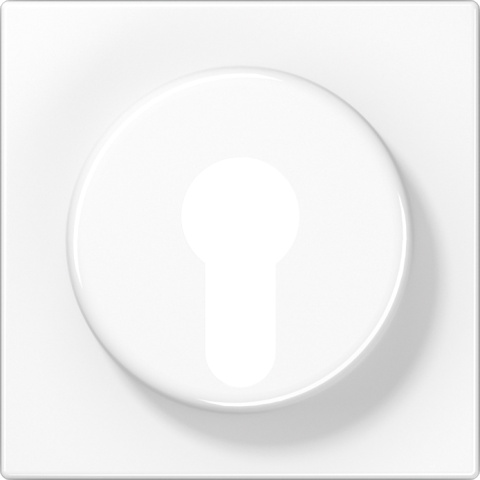 Oslona Junga do przelacznika kluczykowego. LS 928 WW NOWOSC