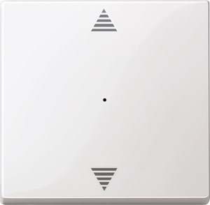 Merten rocker pws/gl for push-button module 1f. 619419 NEW