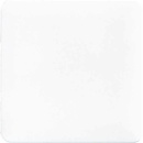 Jung Blind-Abdeckung ws kompl.mit Tragring 594-0 NEU