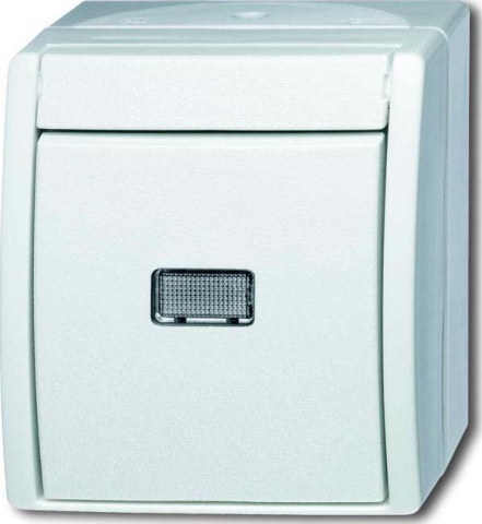 Busch-Jaeger Przelacznik przyciskowy aws 2621 W-54-206 NOWOSC