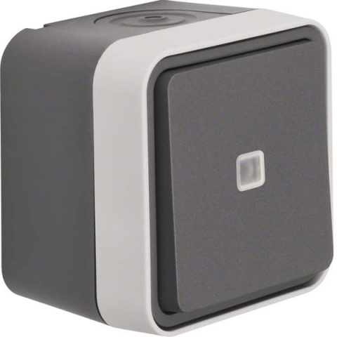 Berker push-button changeover contact light grey 50763505 NEW