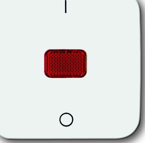 Busch-Jaeger Rocker aws control off 2-pole 2508-214 NEW