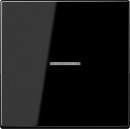 Jung Wippe Lichtleiter ws für Taster LS 990 KO5 SW NEU