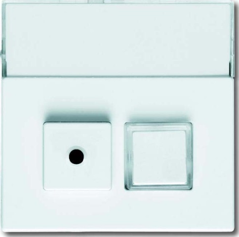 Busch-Jaeger Centrale plaat sws met etiketveld 1572 CN-84 NIEUW