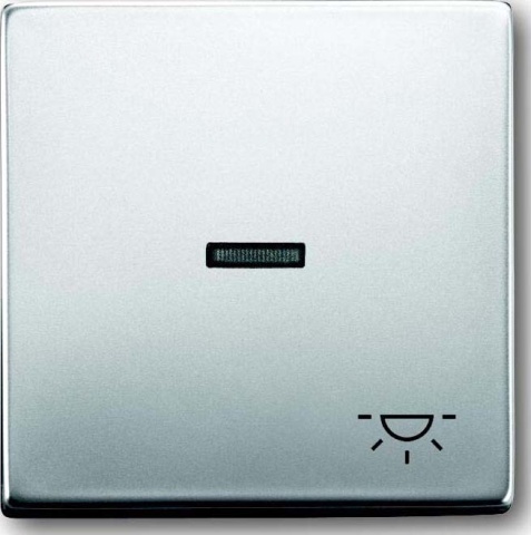 Busch-Jaeger Rocker eds con luz de símbolo 1789 LI-866 NUEVO