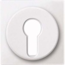 Merten plytka centralna pws change.latching.insert 318119...