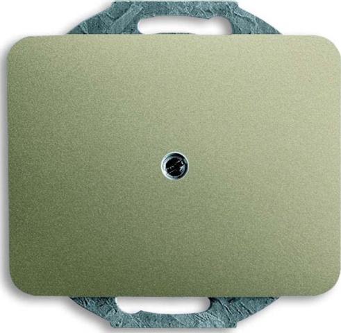 Busch-Jaeger Zentralscheibe pall Blindabdeckung 1742-260 NEU