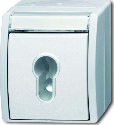 Przelacznik kluczykowy Busch-Jaeger 2733 SLW-54 NOWOSC