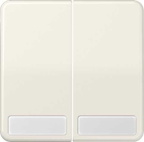 Jung rocker label ws para interruptor/botón CD 595 NA NUEVO