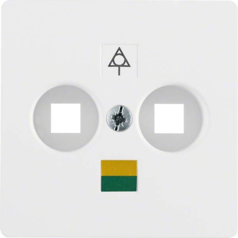 Berker central plate pws f.double box 14031909 NEW