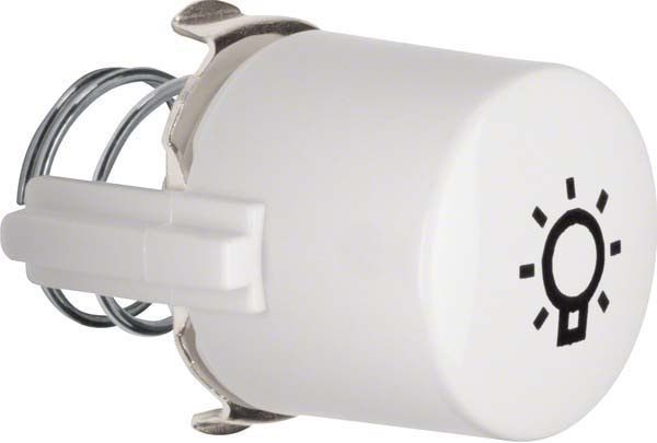 Berker push-button pws for symbol "light" 1226 NEW